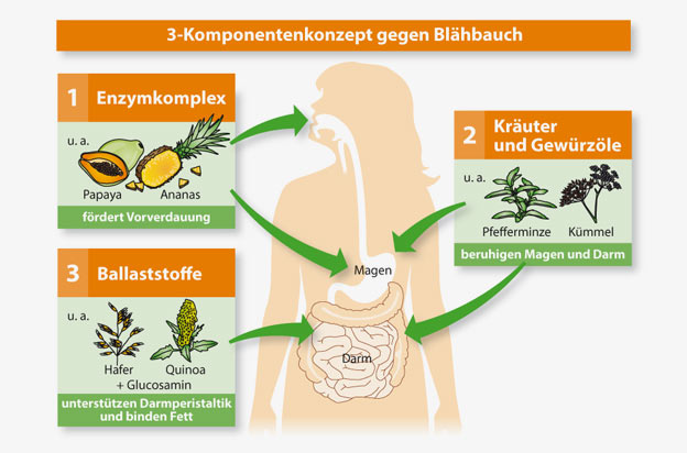 Blähbauch