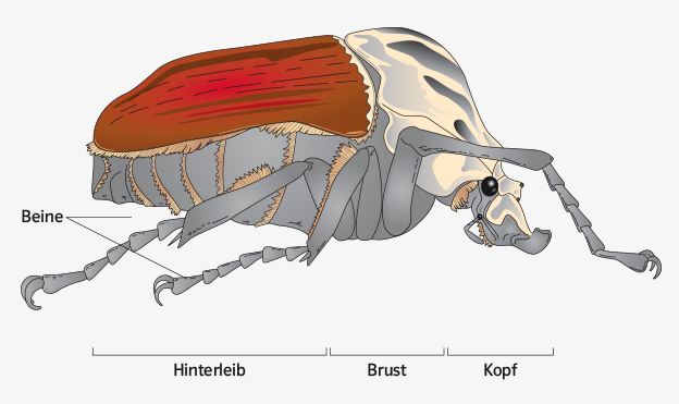 Biologie_04