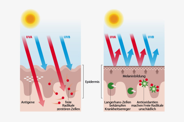 UVA UVB Strahlen Sonnenschutz